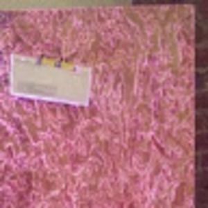 Meet your Posher, Adam